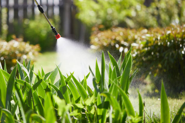 24/7 Emergency Mosquito Control experts in Stewartville, MN