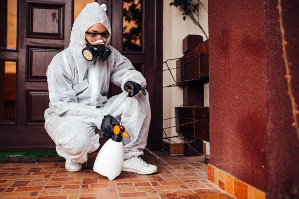 Reliable Mosquito Control contractor in Stewartville, MN by Show Me Pest Control
